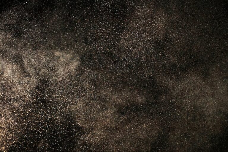 Particle Filtering for Data Augmentation in Image Classification